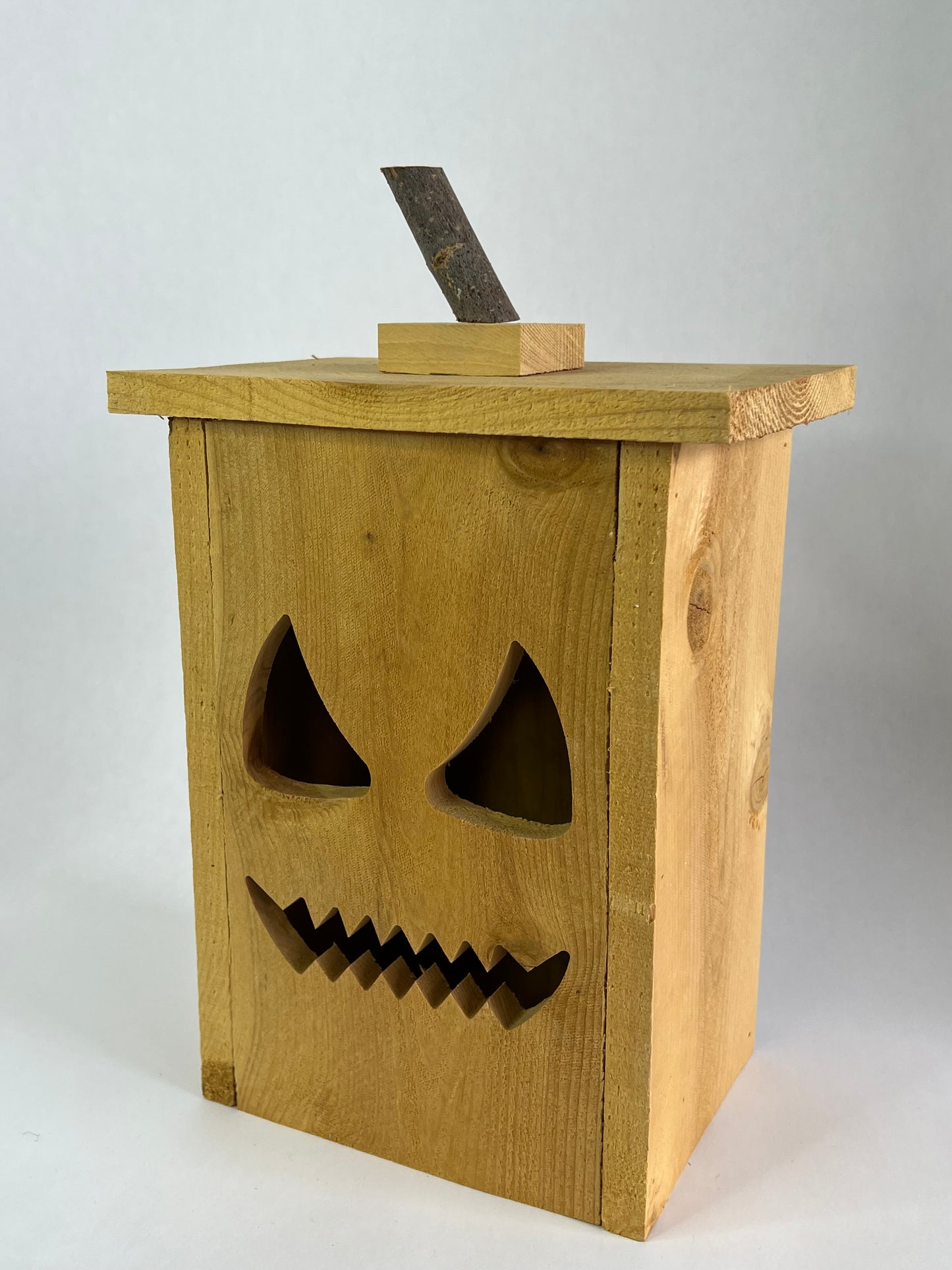 Jack-O-Lantern Luminary