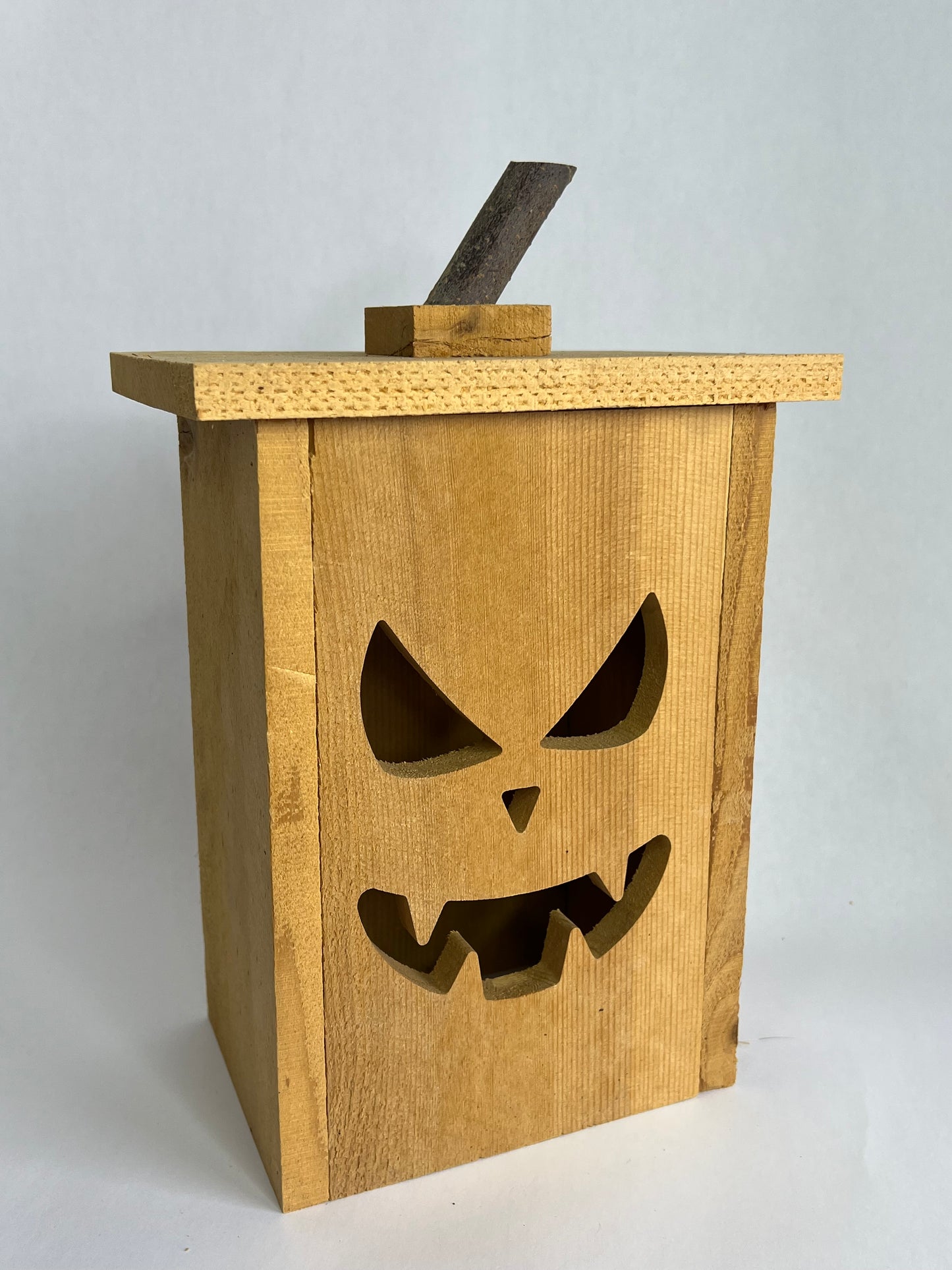 Jack-O-Lantern Luminary