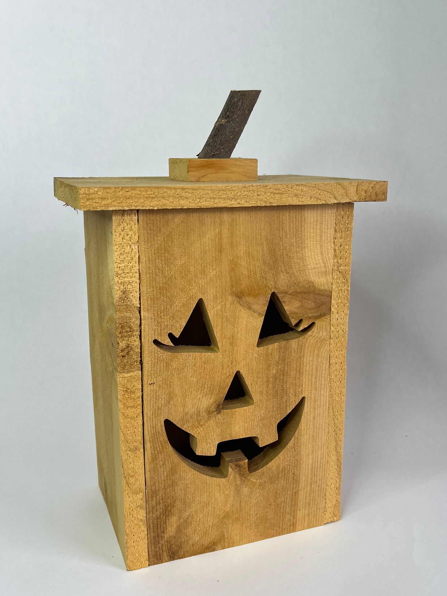 Jack-O-Lantern Luminary