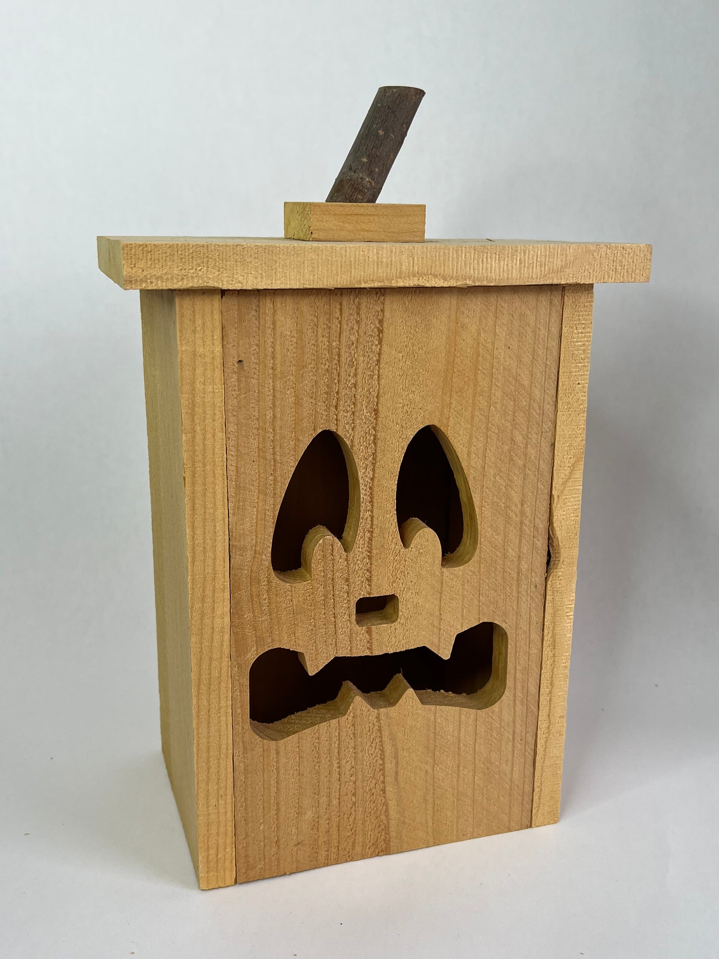 Jack-O-Lantern Luminary