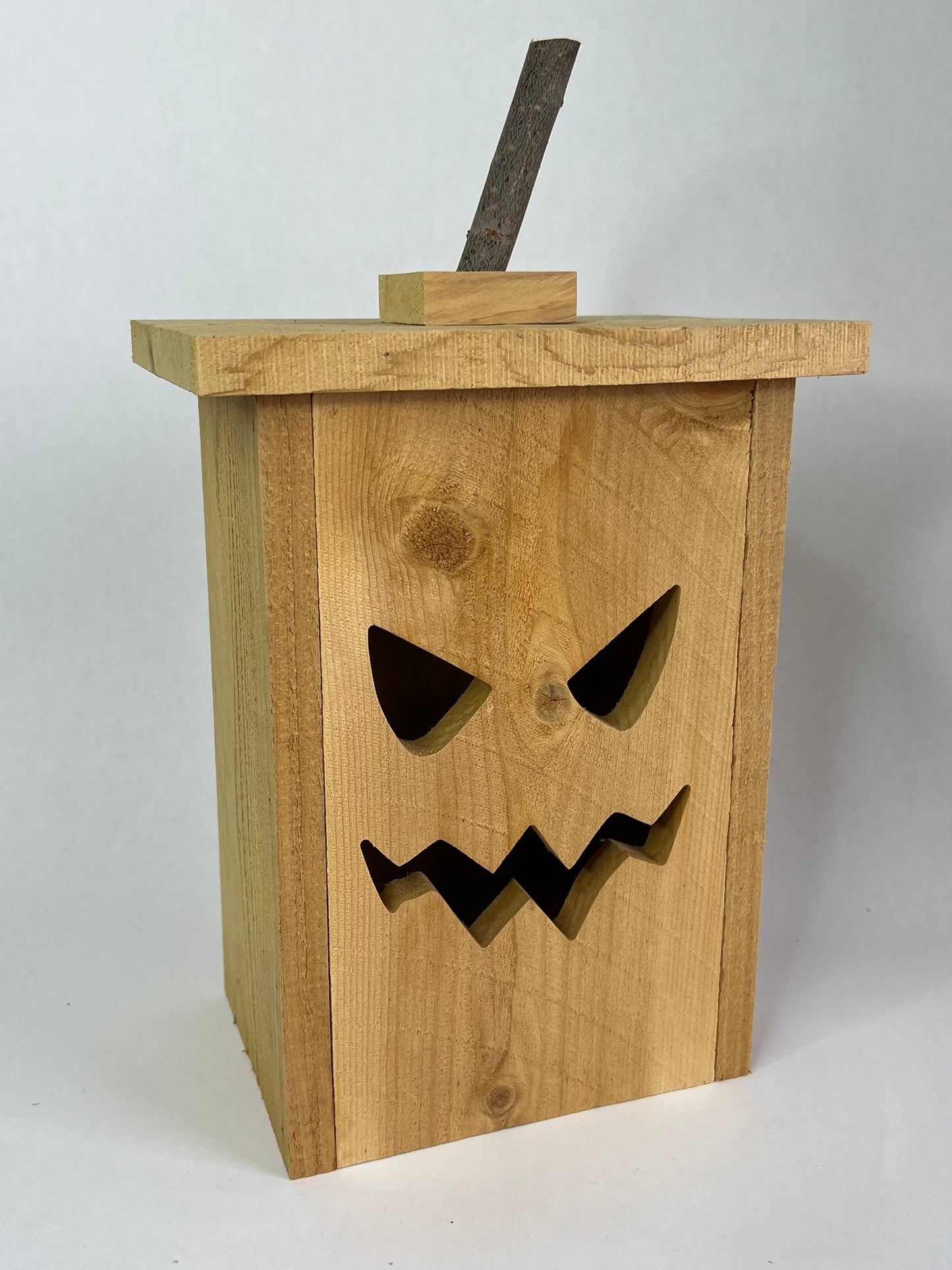 Jack-O-Lantern Luminary